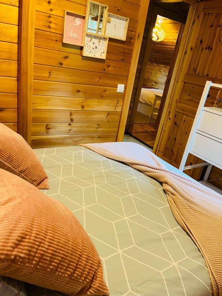 Espectacular Apartamento De Madera Frente Al Rio Ter - Camprodon Eksteriør billede