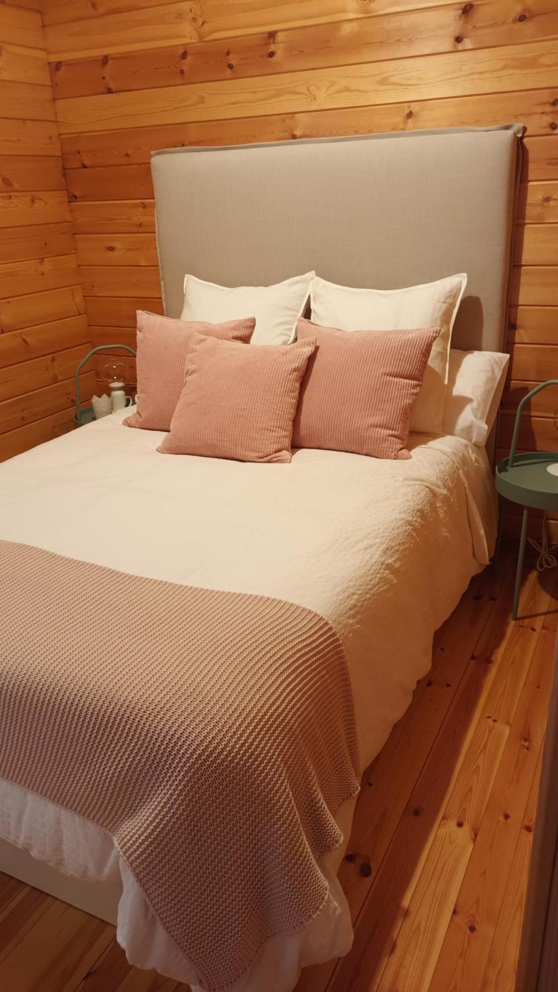 Espectacular Apartamento De Madera Frente Al Rio Ter - Camprodon Eksteriør billede